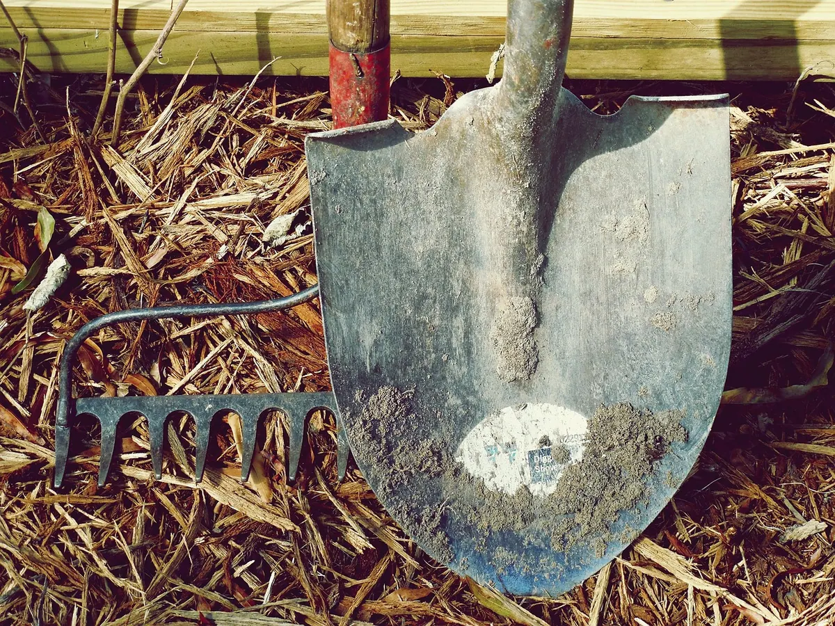 Lino Printing at Home: A Beginner's Guide to Tools, Ink and Paper